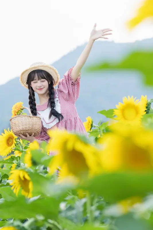 [YITUYU艺图语]2025.02.18 向日葵 夏芋小年 13
